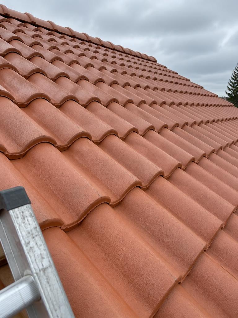 Roof, Paddock Wood